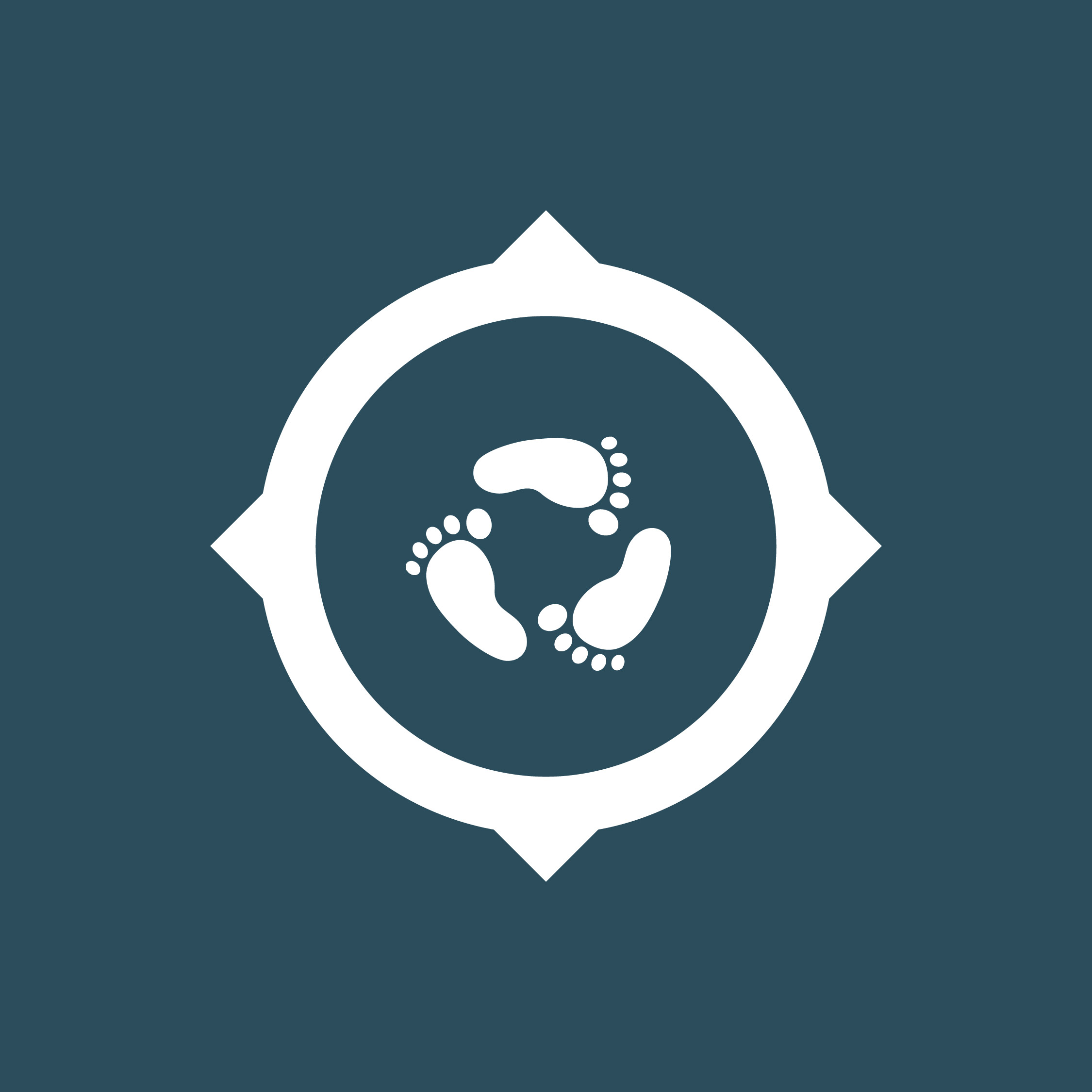 Logo Wise Steps Consulting
